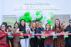 mascotas1