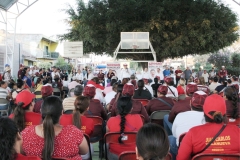 paviago1