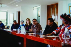 alanza-uan-originarios3