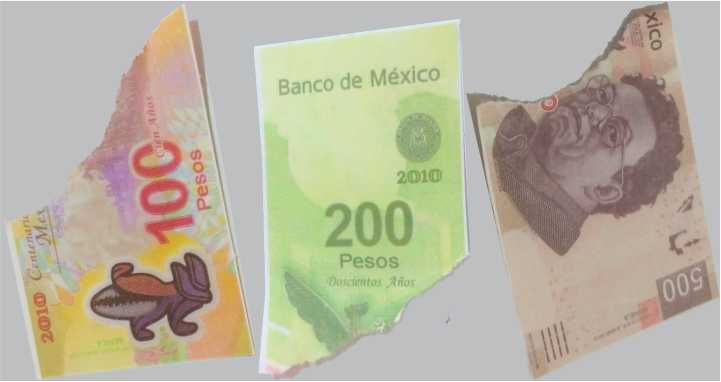 pedazos de dinero