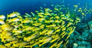 Migración por cambio climático