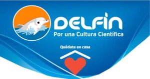 covid-delfin