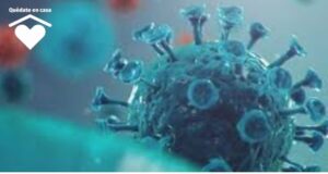 nuevo coronavirus