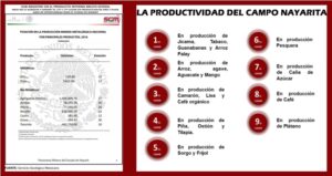 productividad nayarita