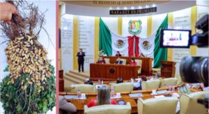 diputados cacahuateros