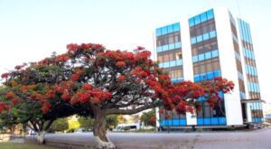 rectoría uan contienda