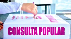 voto-consulta