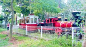 trenesito