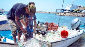 pesca de basura