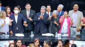 senado-litio