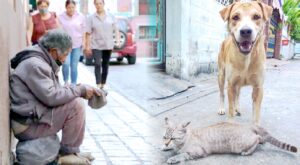situación de calle