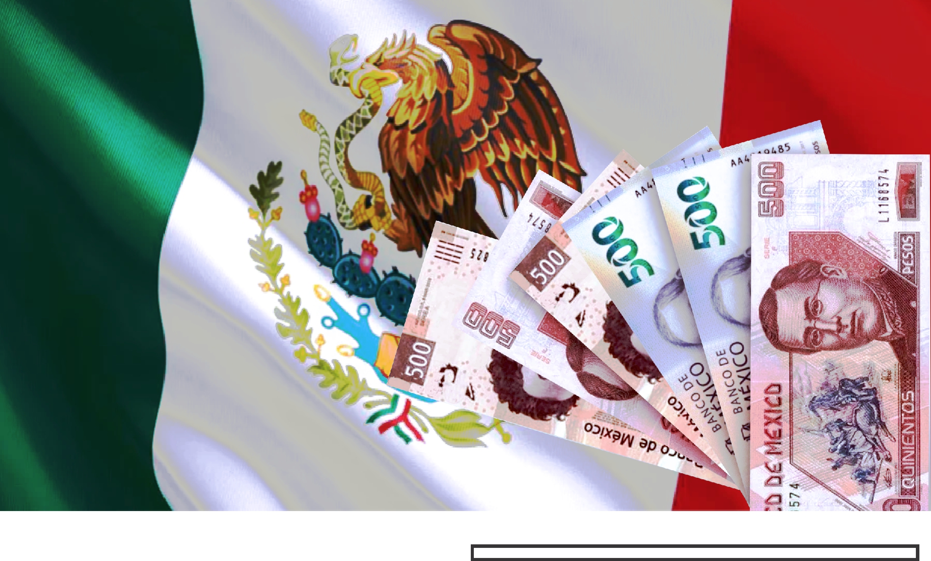 dinero bandera