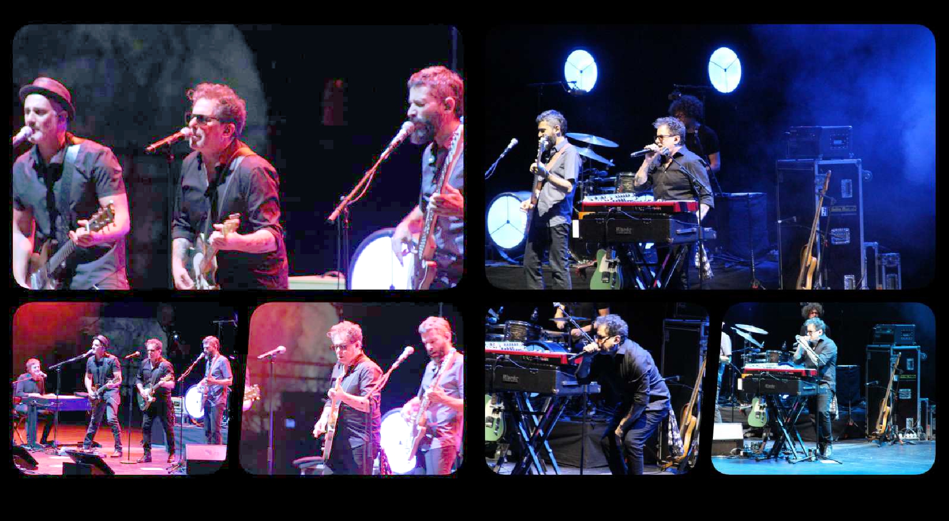 calamaro
