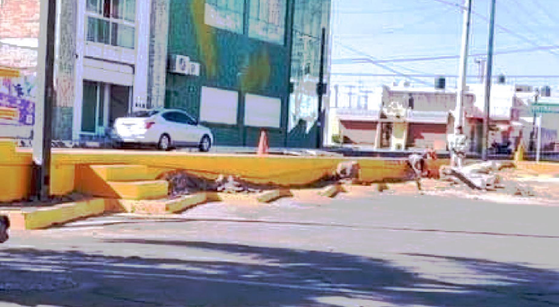 sin-árboles