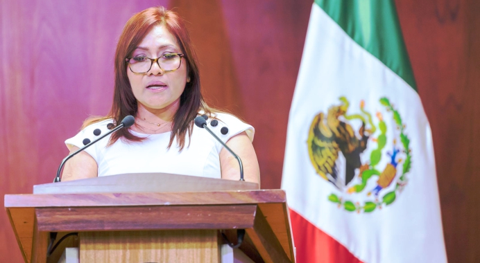 Informe TSJN