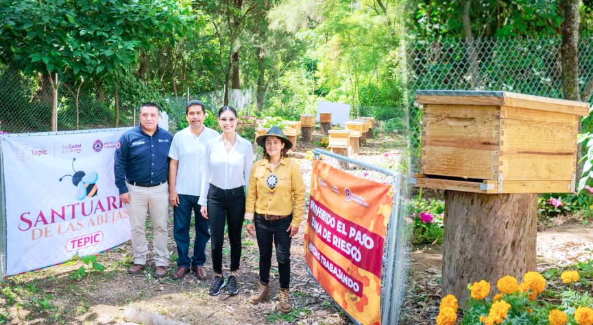 abejas