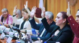 diputados-discapacitados