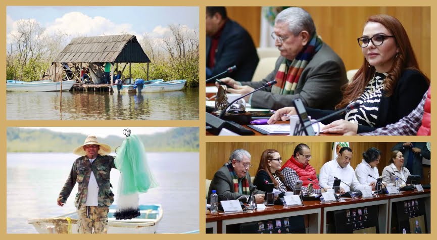 Diputados