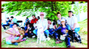 mascotas