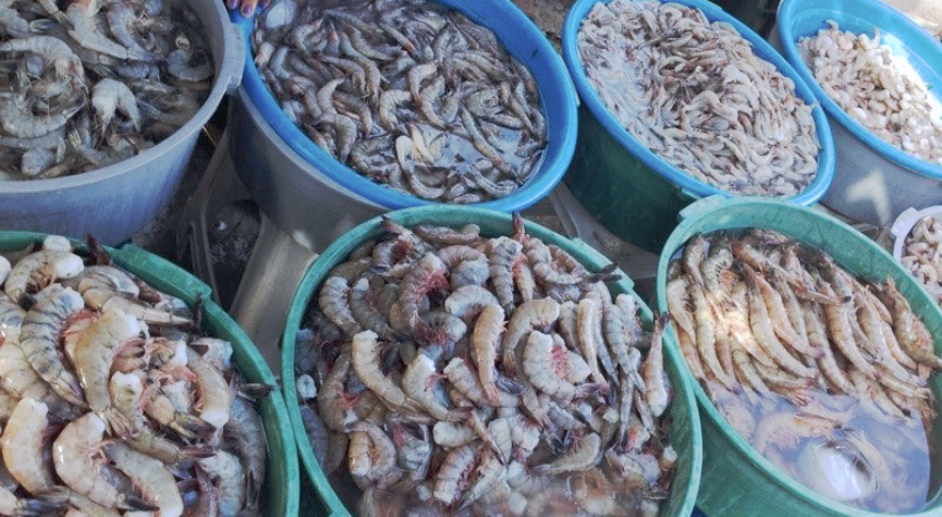 camarones