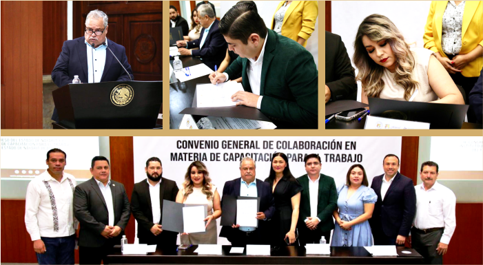 DIPUTADOS