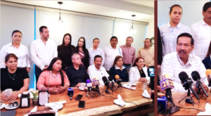nuevos diputados
