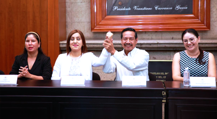 diputados discapacitadas