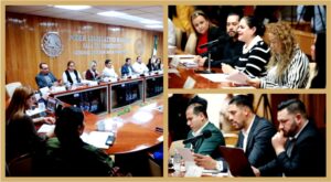 congreso leyes