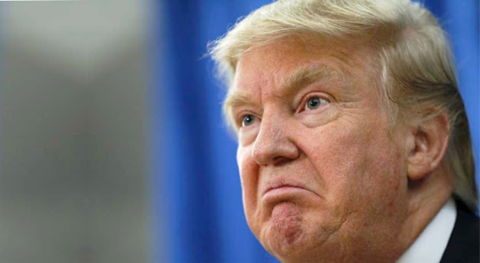 molesto truump
