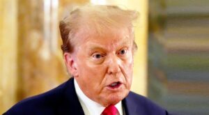 trumpudo