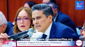 Pável Jarero apoyo Plan b