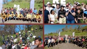 reforesta1