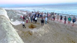 PLAYA COCINAS