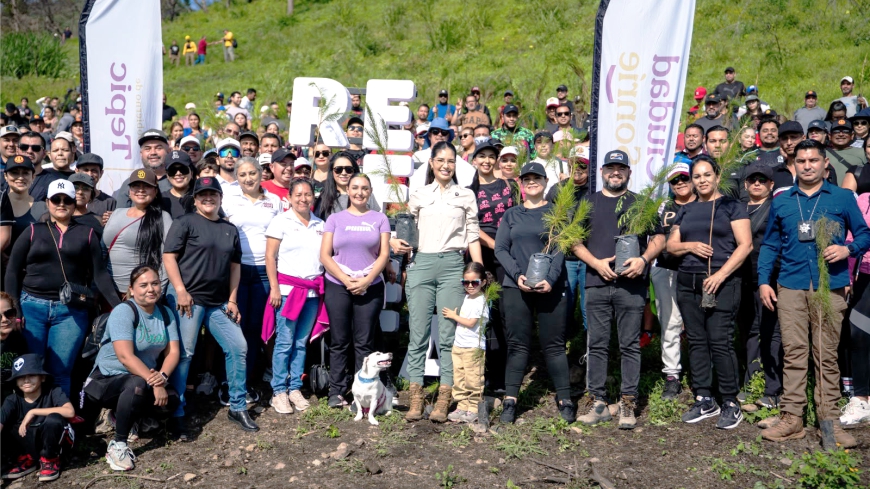 REFORESTACIÓN1