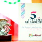 VInforme