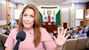 ivideliza diputados